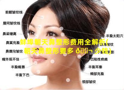 蚌埠朝天鼻整形费用全解析(朝天鼻整形要多 🐬 少钱)